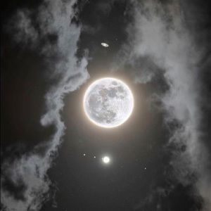 Meet your Posher, Angelique